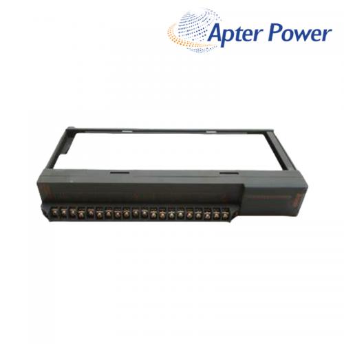 AY80EP    16 Point Output Module